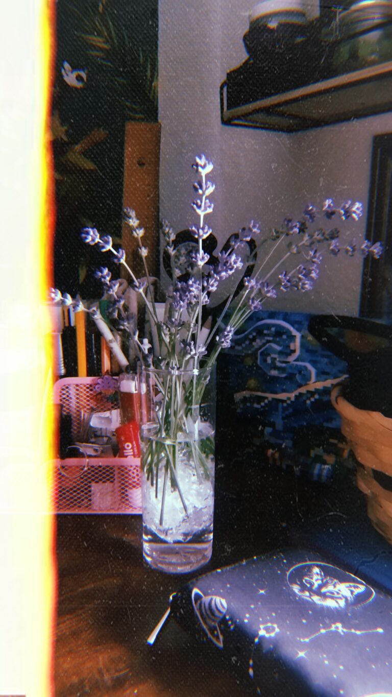 Little Joy